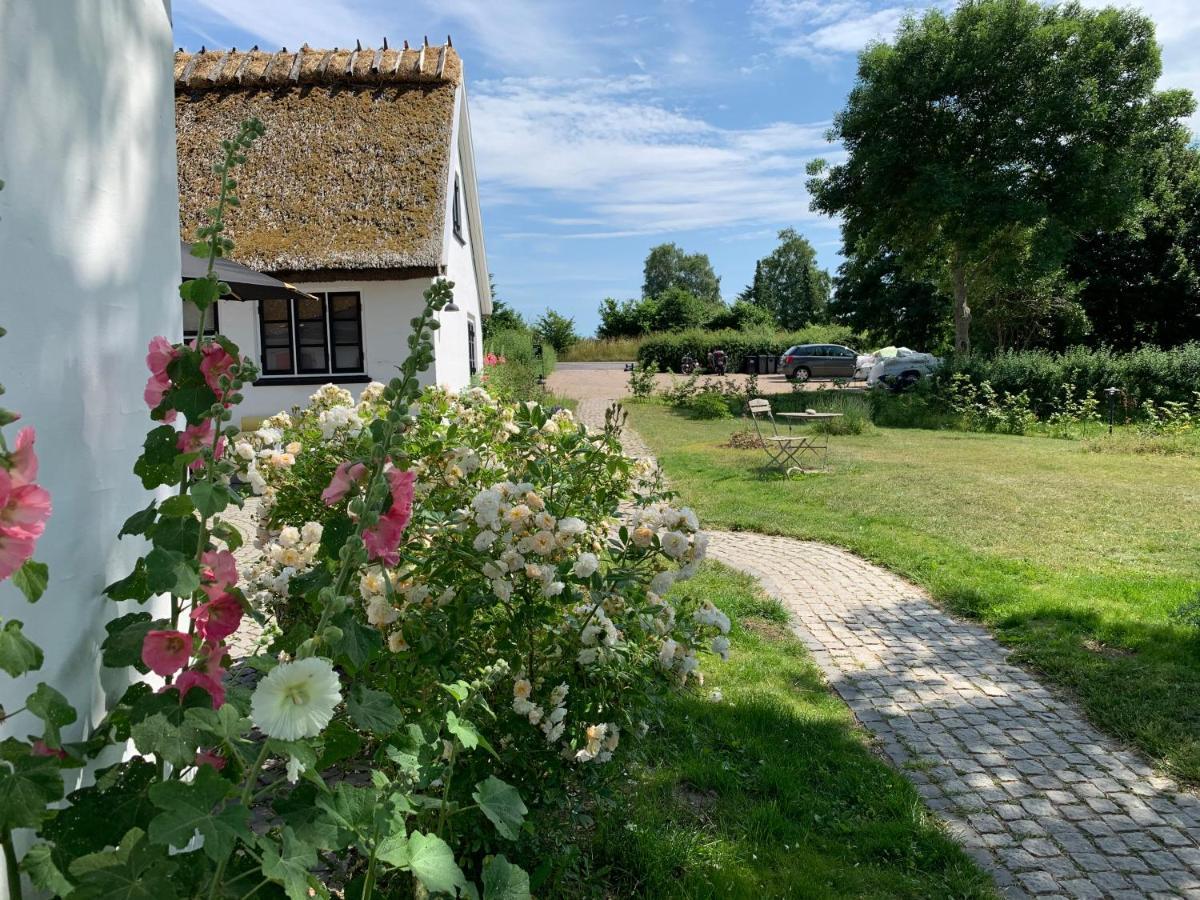 Hillerød Mariegaardens Gaestehuse المظهر الخارجي الصورة