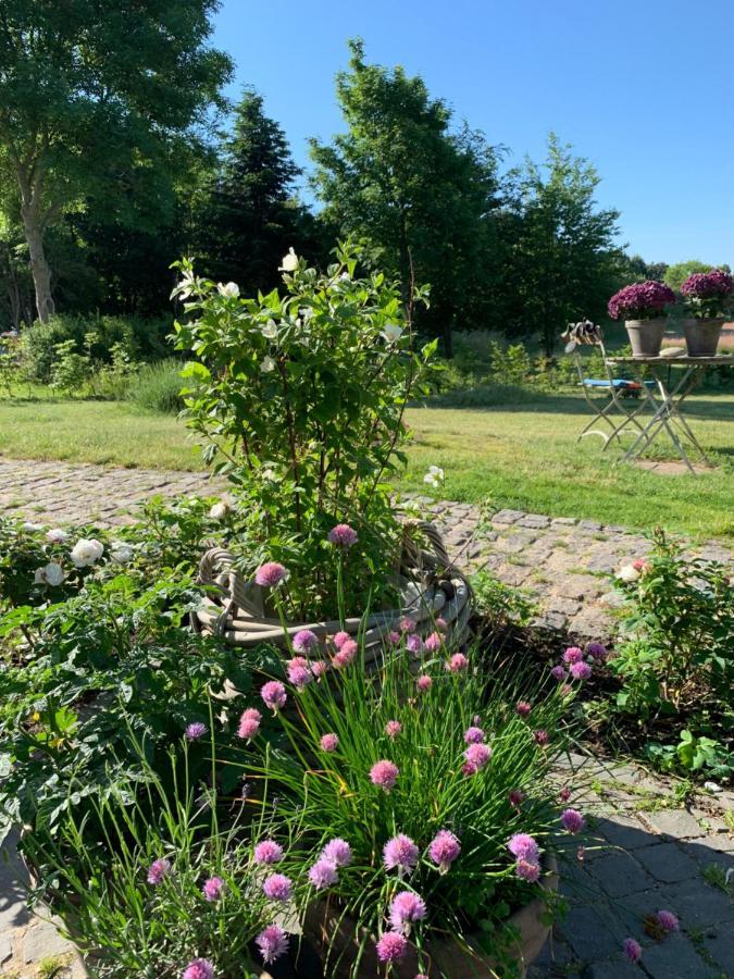 Hillerød Mariegaardens Gaestehuse المظهر الخارجي الصورة