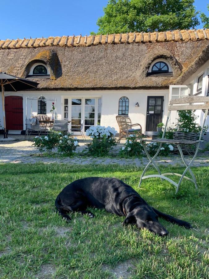 Hillerød Mariegaardens Gaestehuse المظهر الخارجي الصورة