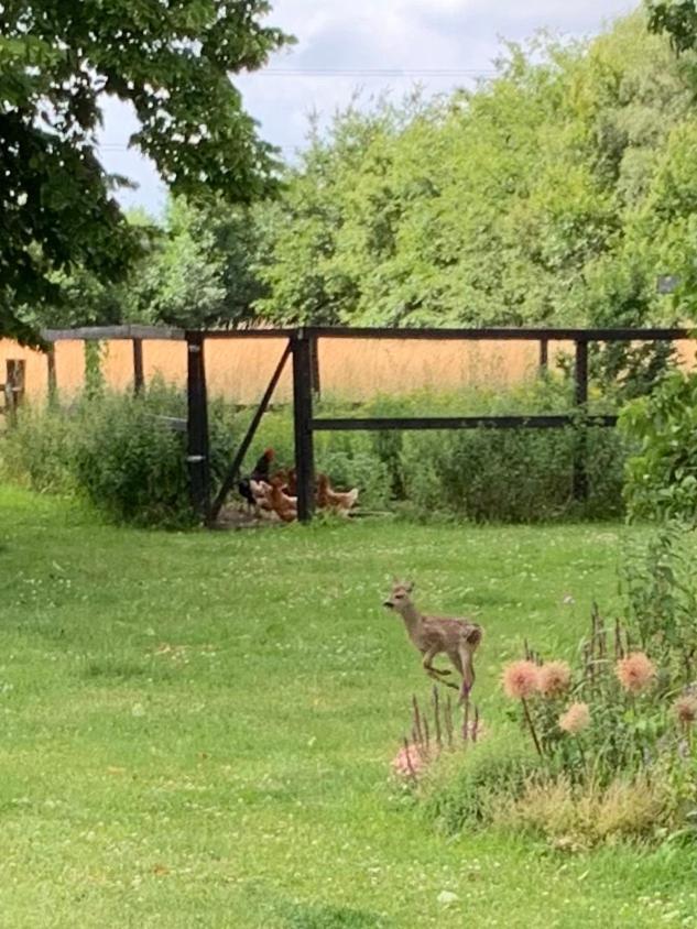 Hillerød Mariegaardens Gaestehuse المظهر الخارجي الصورة